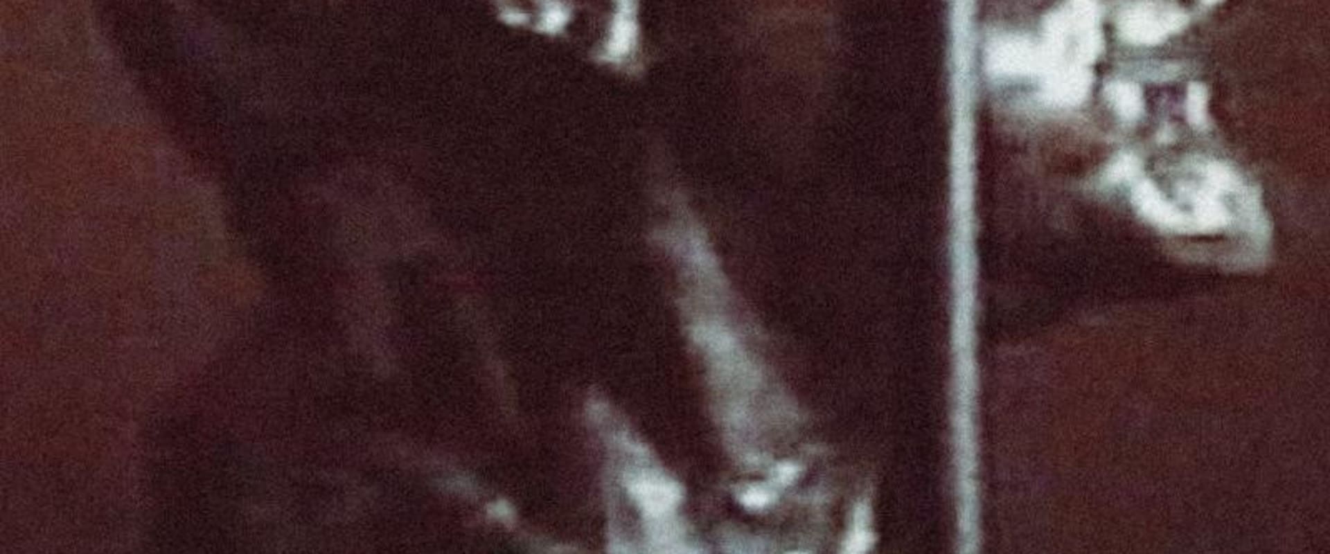 Documentary backdrop image for Disgraced Monuments (1994)
