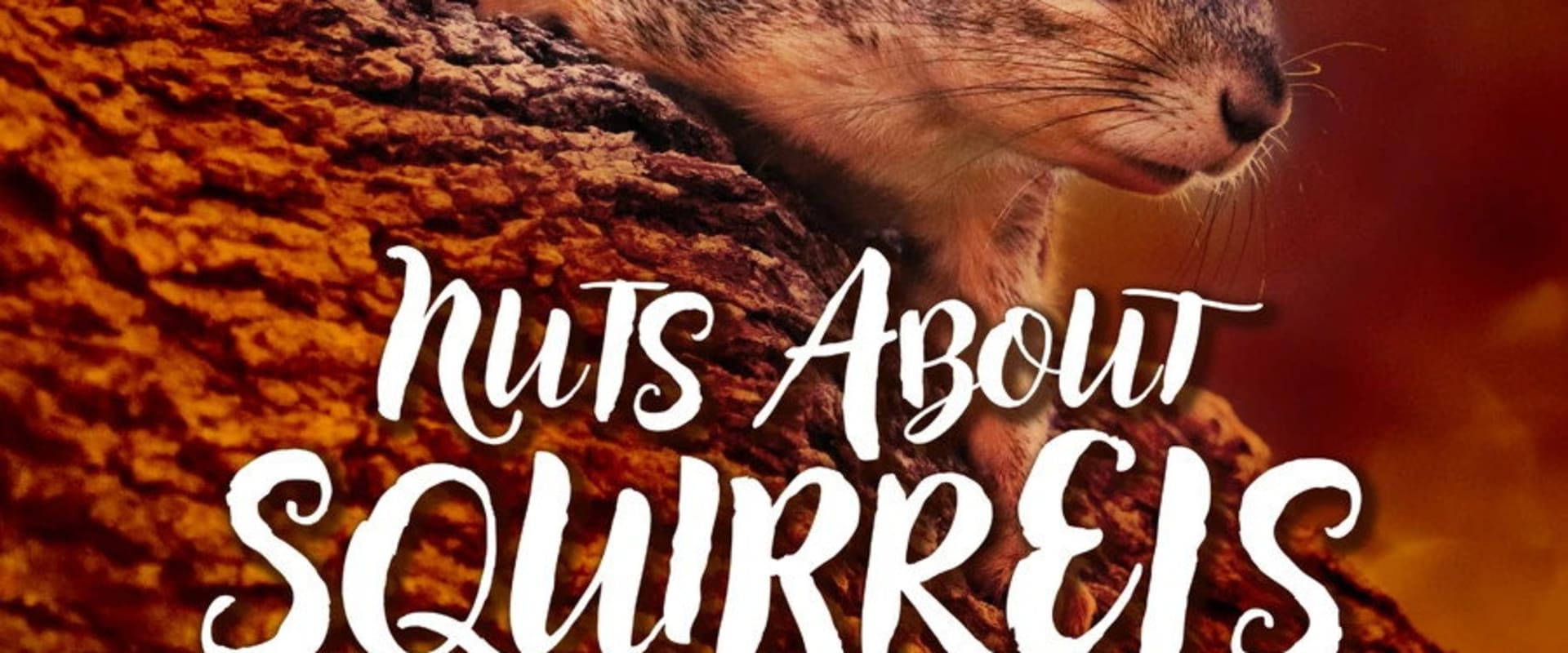 Documentary backdrop image for Nuts About Squirrels (2022)