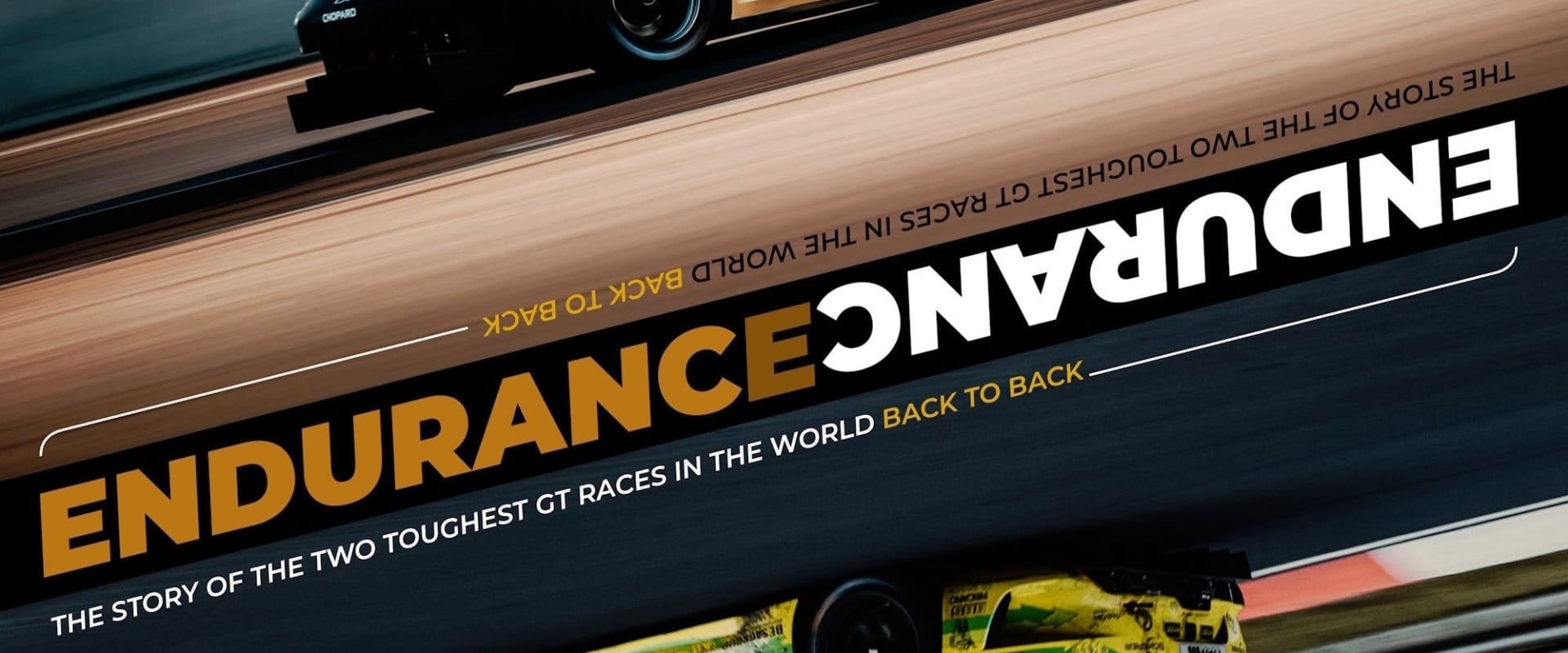 Documentary backdrop image for ENDURANCE (2020)