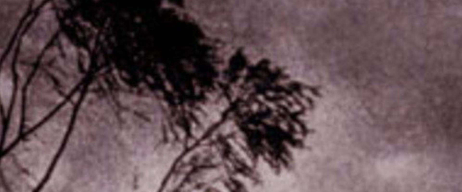 Documentary backdrop image for Nagasaki Journey (1995)