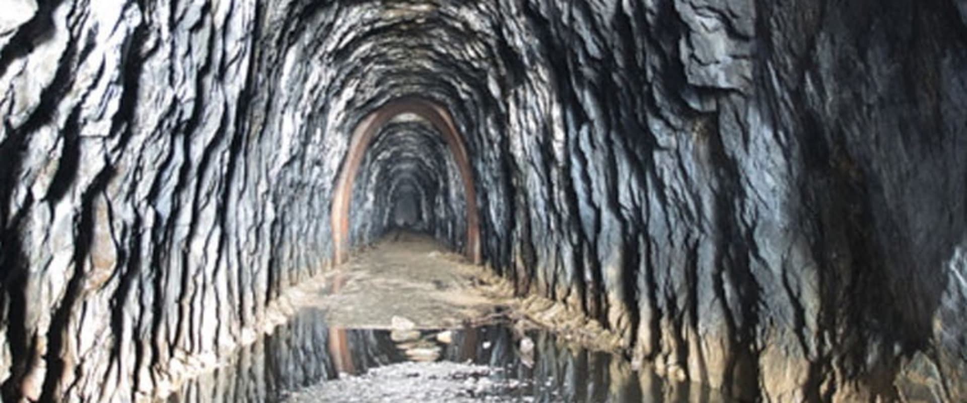 Documentary backdrop image for The Tunnel (2021)