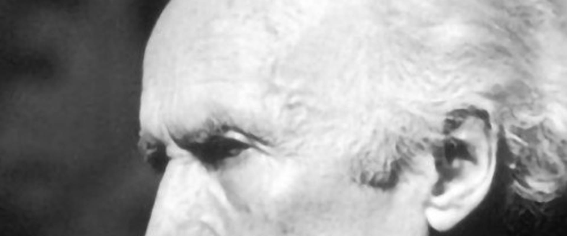 Documentary backdrop image for Celluloid and Marble (2011)