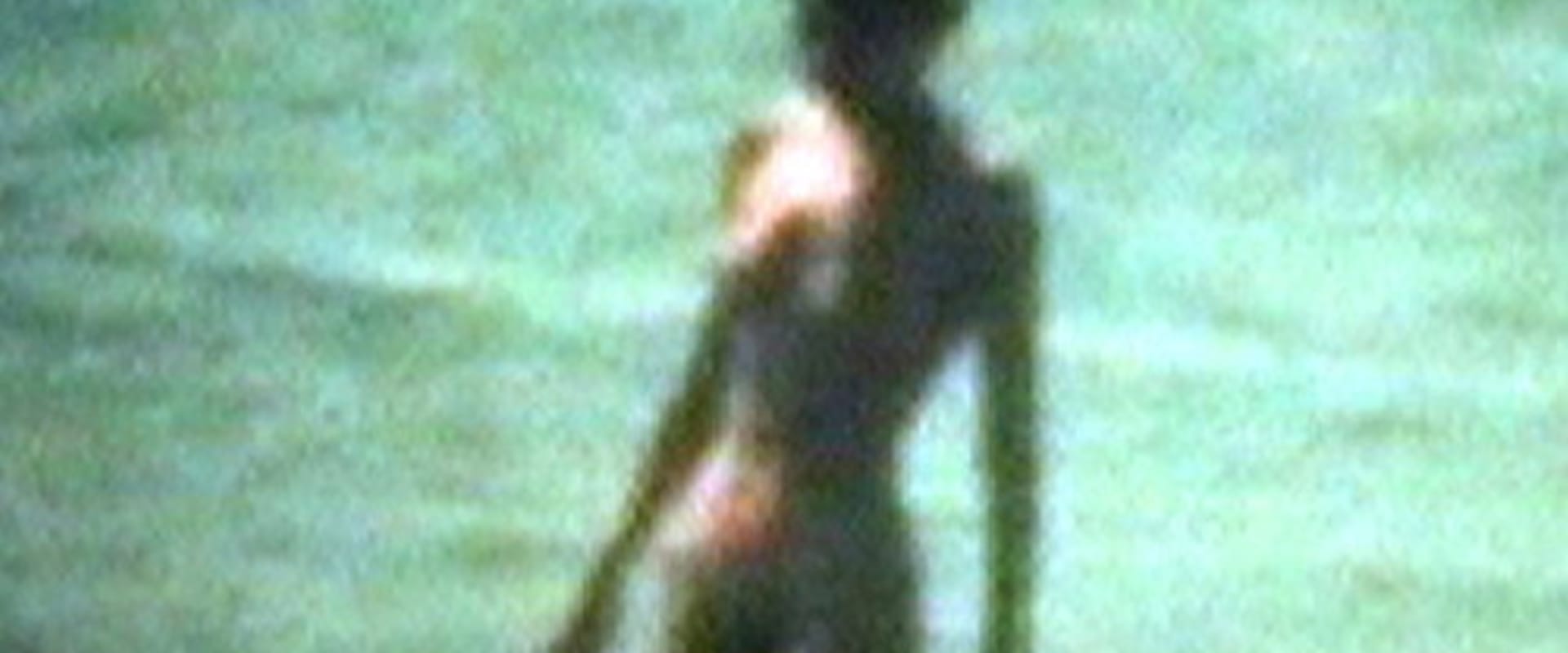 Documentary backdrop image for About Greece (1985)