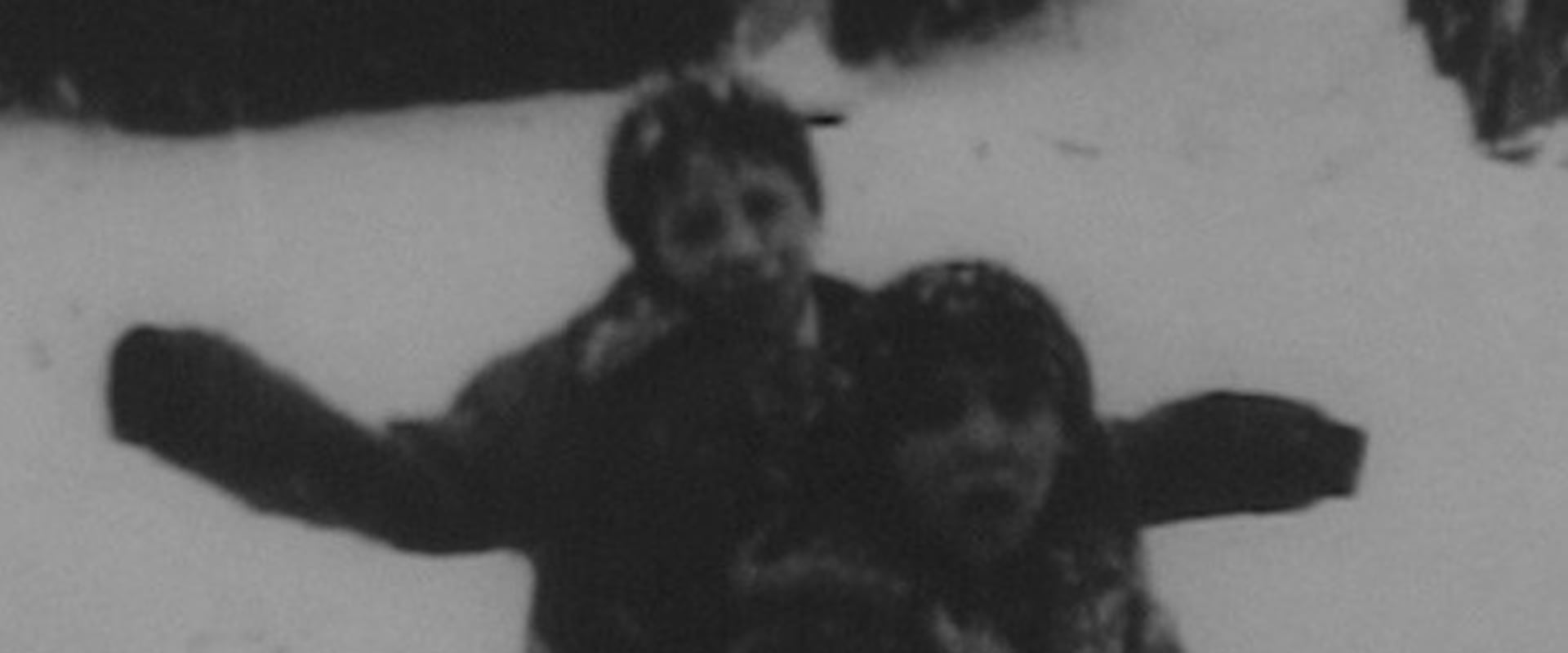 Documentary backdrop image for Widowstreet (1991)