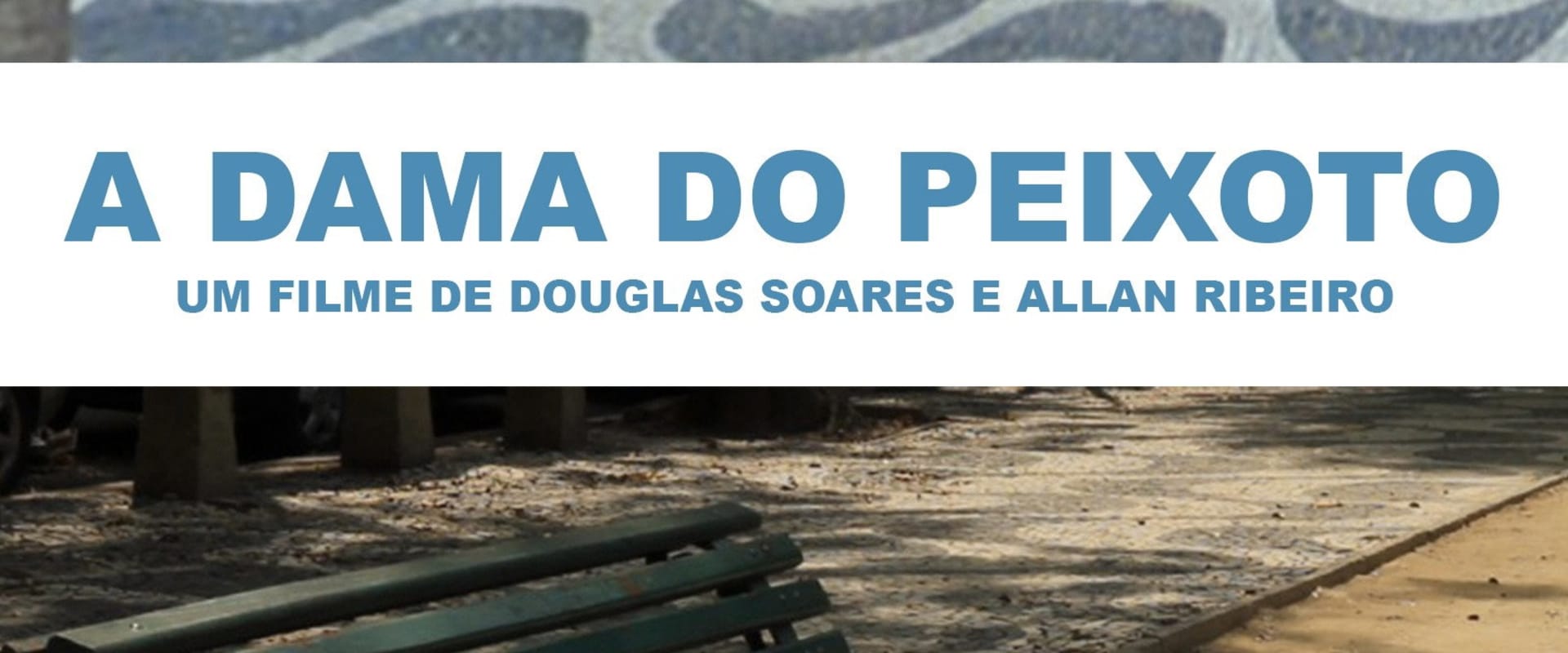 Documentary backdrop image for A Dama do Peixoto (2011)