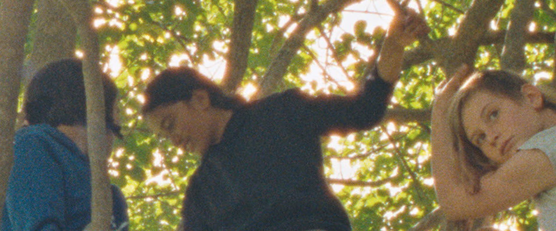 Documentary backdrop image for Hawaiki (2023)