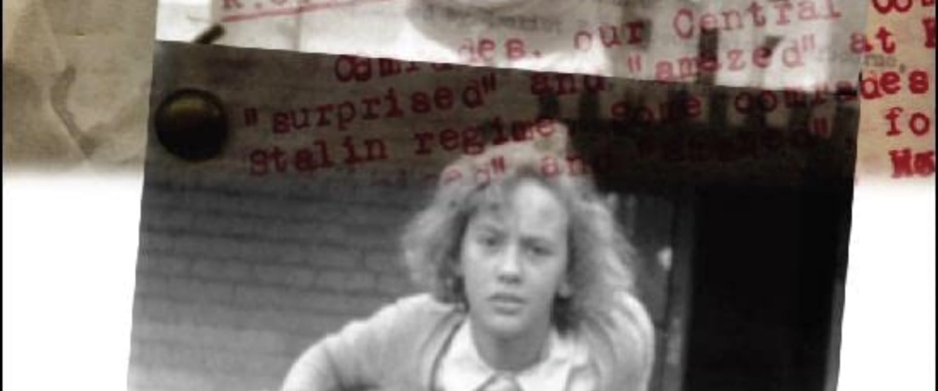 Documentary backdrop image for The Archive Project (2006)