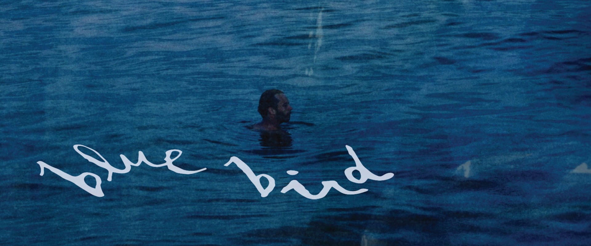 Documentary backdrop image for Blue Bird (2025)