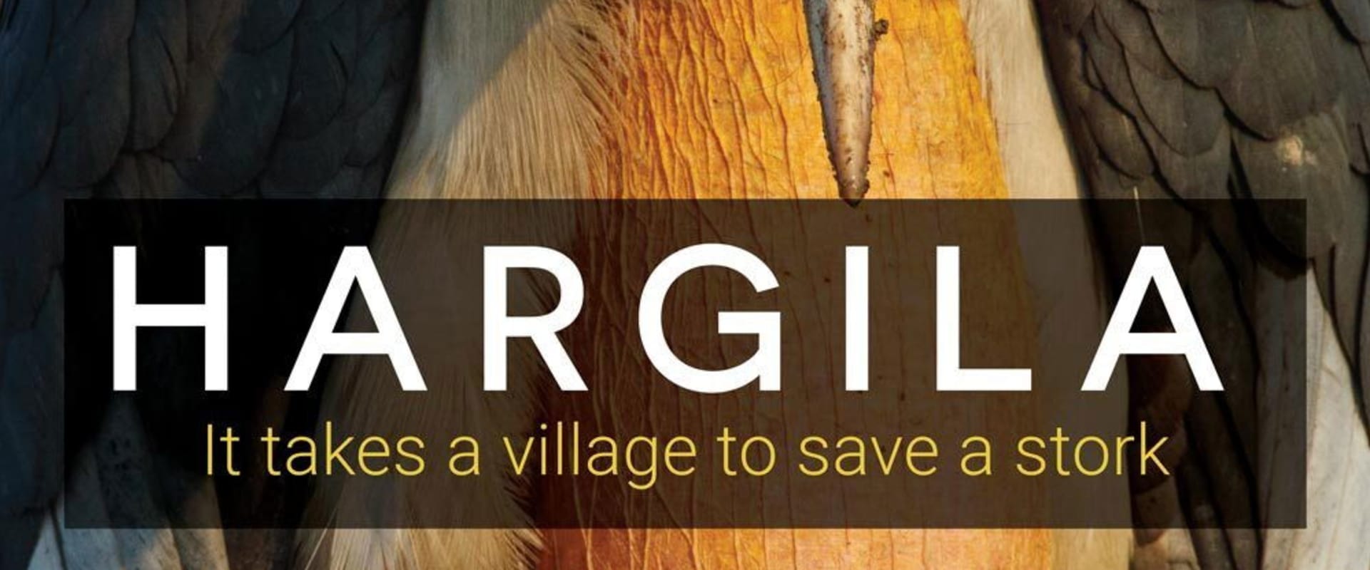 Documentary backdrop image for Hargila (2022)