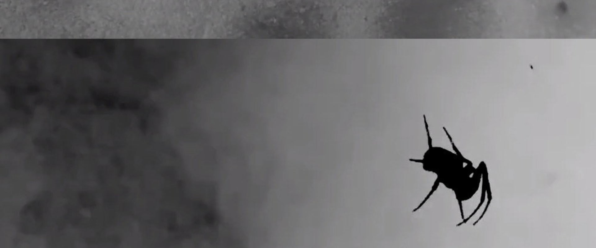 Documentary backdrop image for Countercurrent (2020)