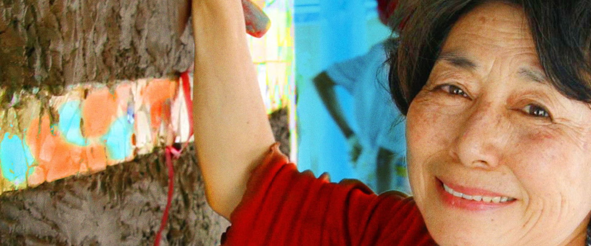 Documentary backdrop image for The Barefoot Artist (2014)