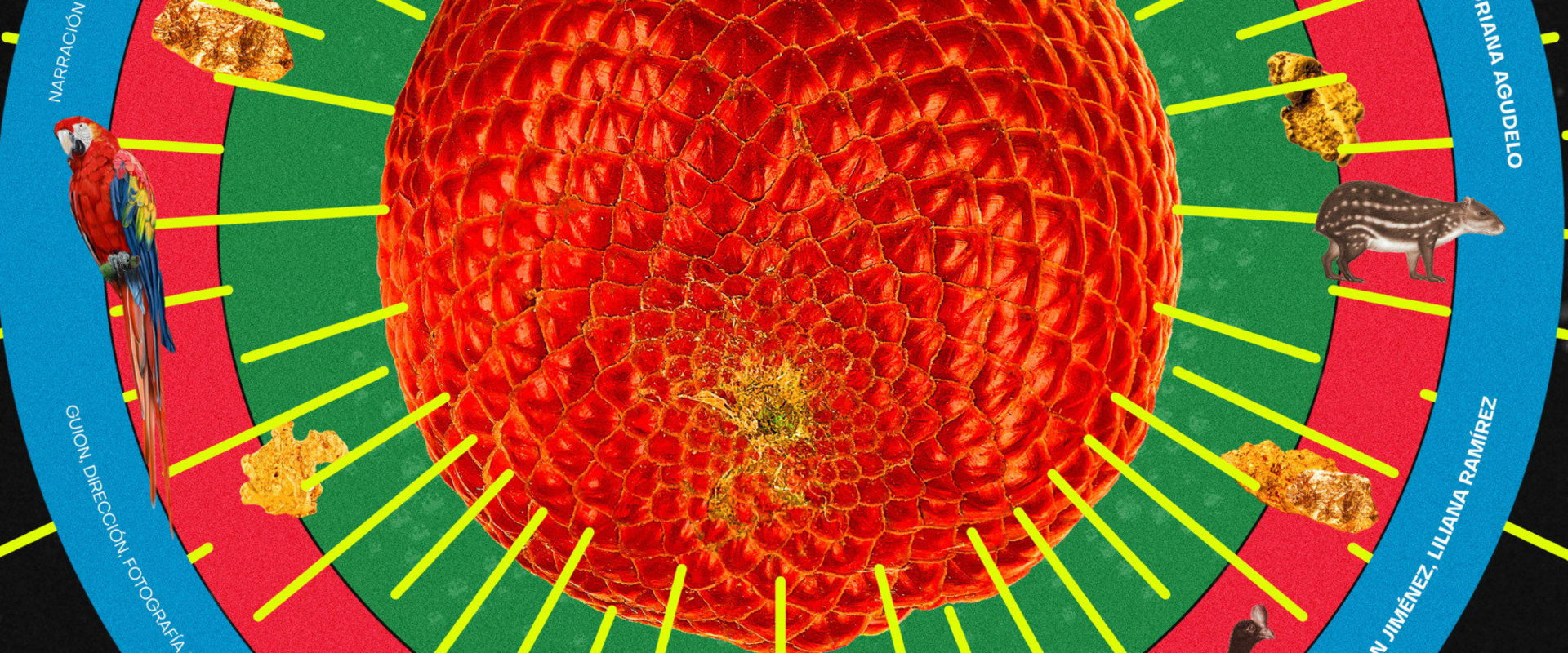 Documentary backdrop image for Morichales (2024)