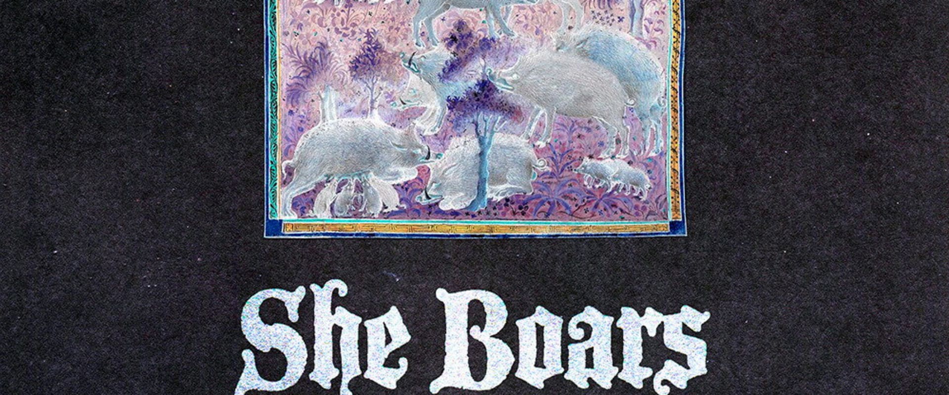 Documentary backdrop image for She Boars (2025)