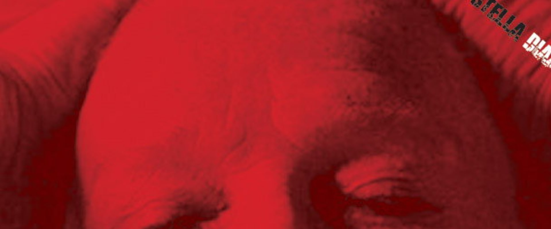 Documentary backdrop image for La colorina (2008)