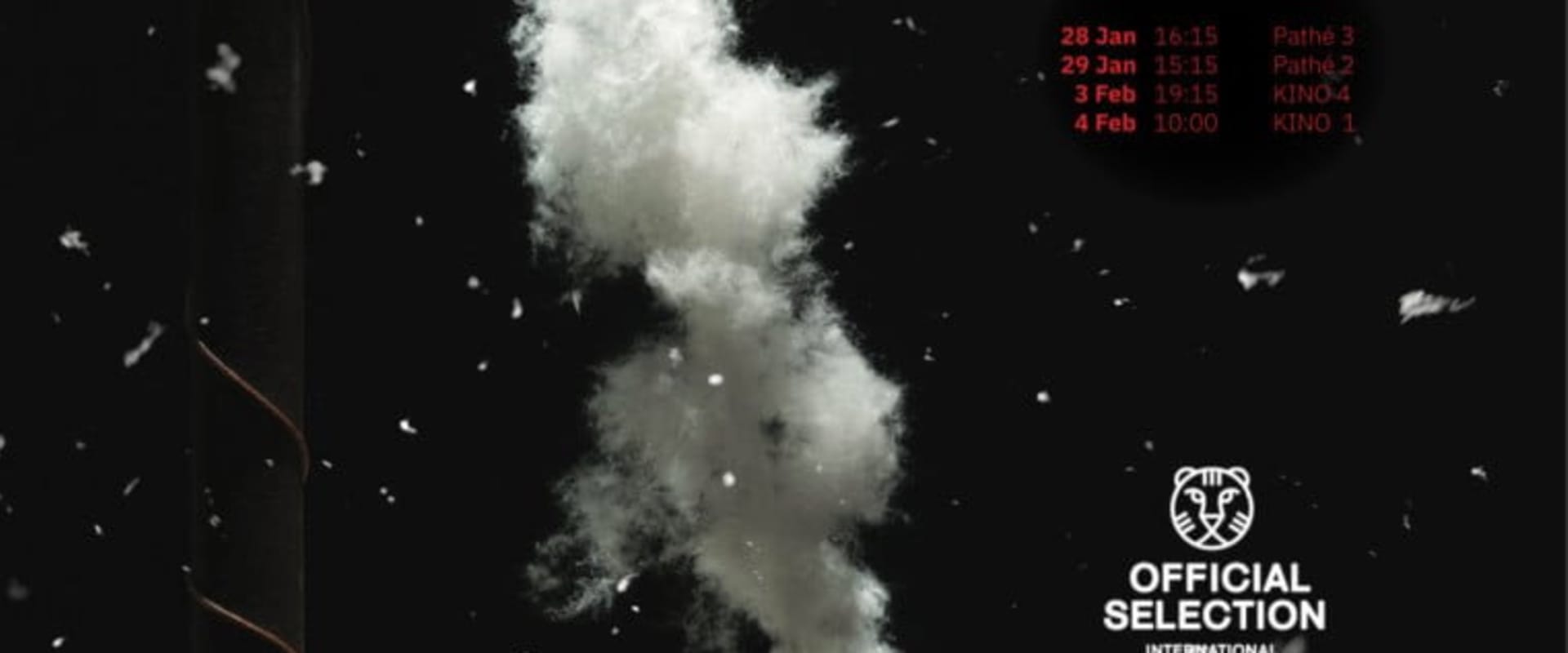 Documentary backdrop image for Shabnam (2023)