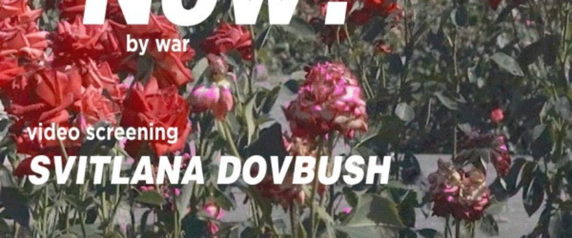 Documentary backdrop image for And Where Now? (2026)