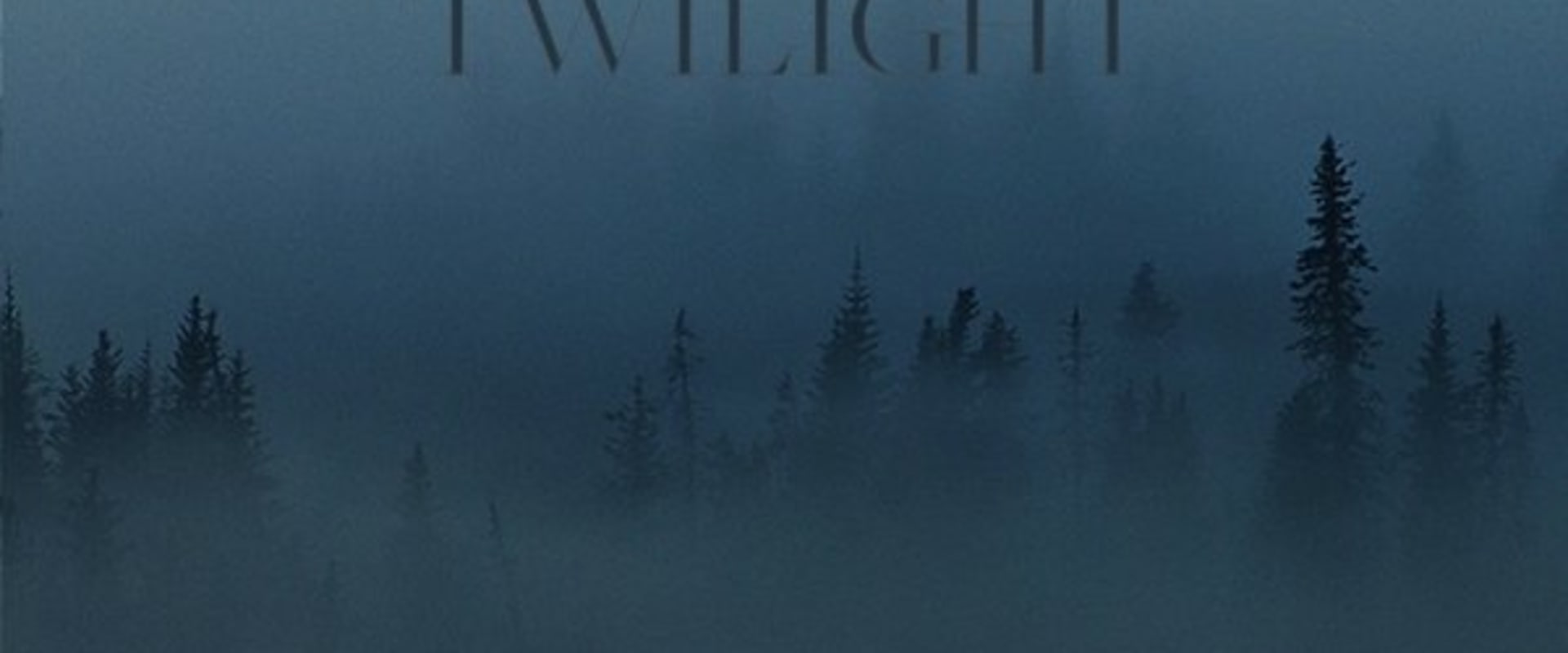 Documentary backdrop image for Twilight (2021)