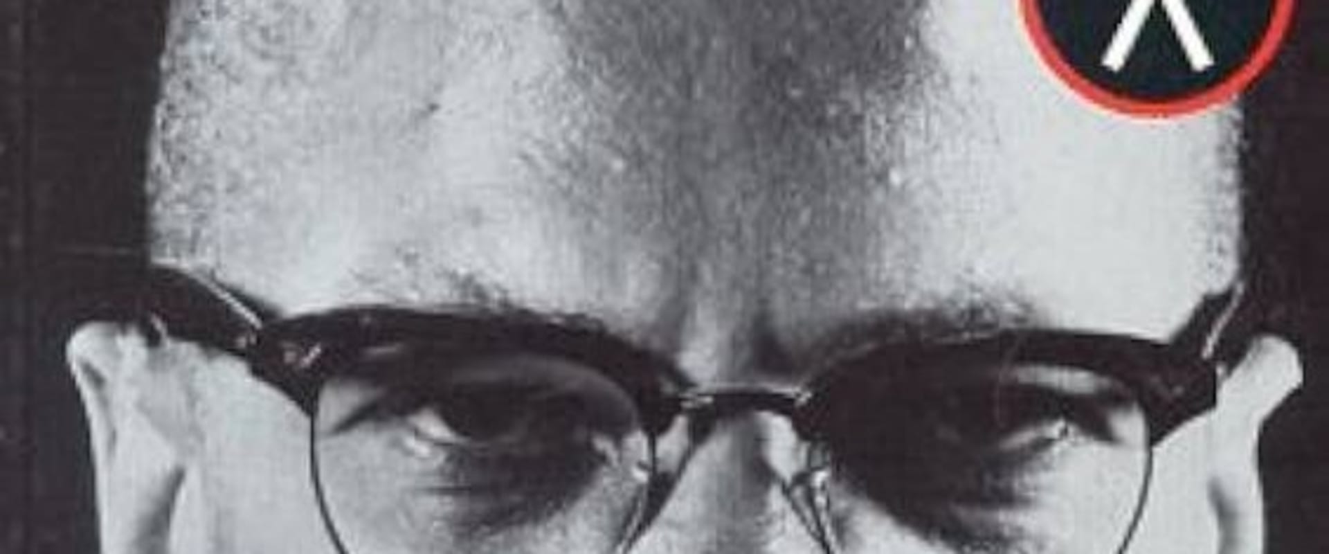 Documentary backdrop image for The Real Malcolm X (1992)