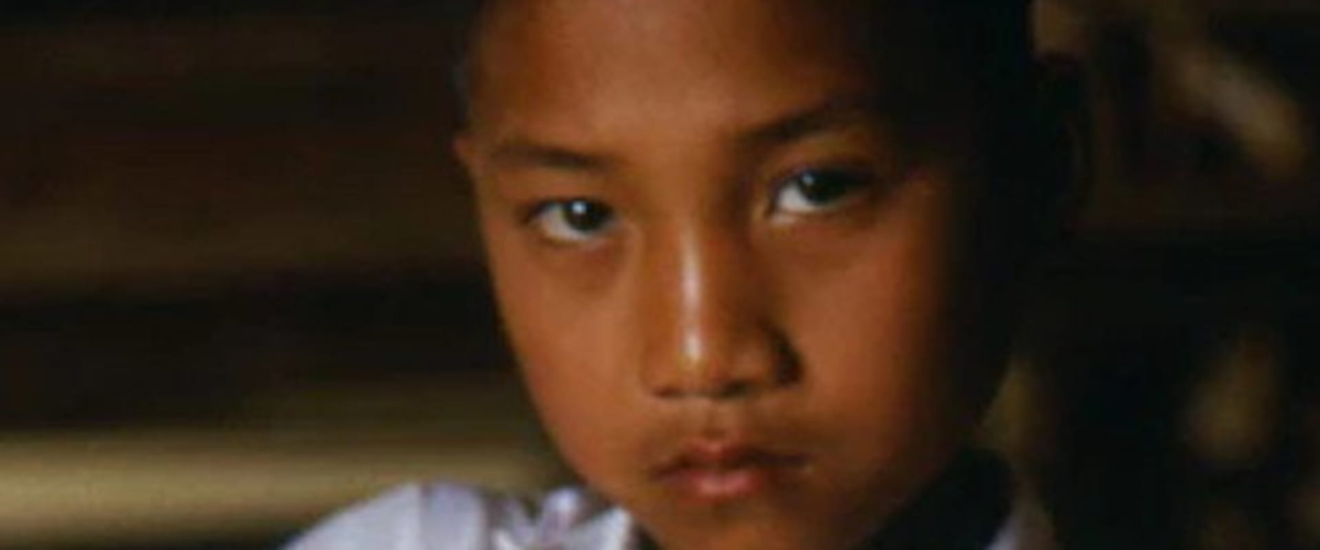Documentary backdrop image for Bombies (2001)