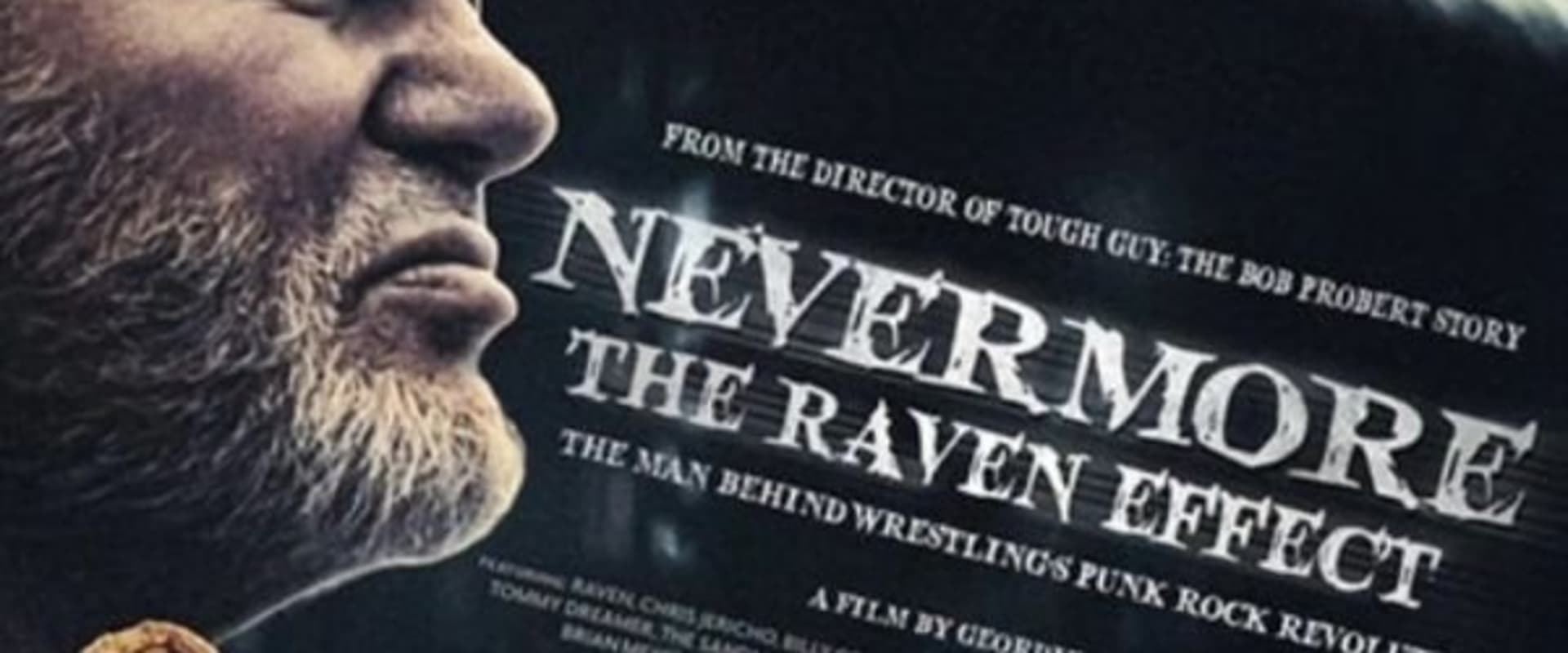 Documentary backdrop image for Nevermore: The Raven Effect (2025)