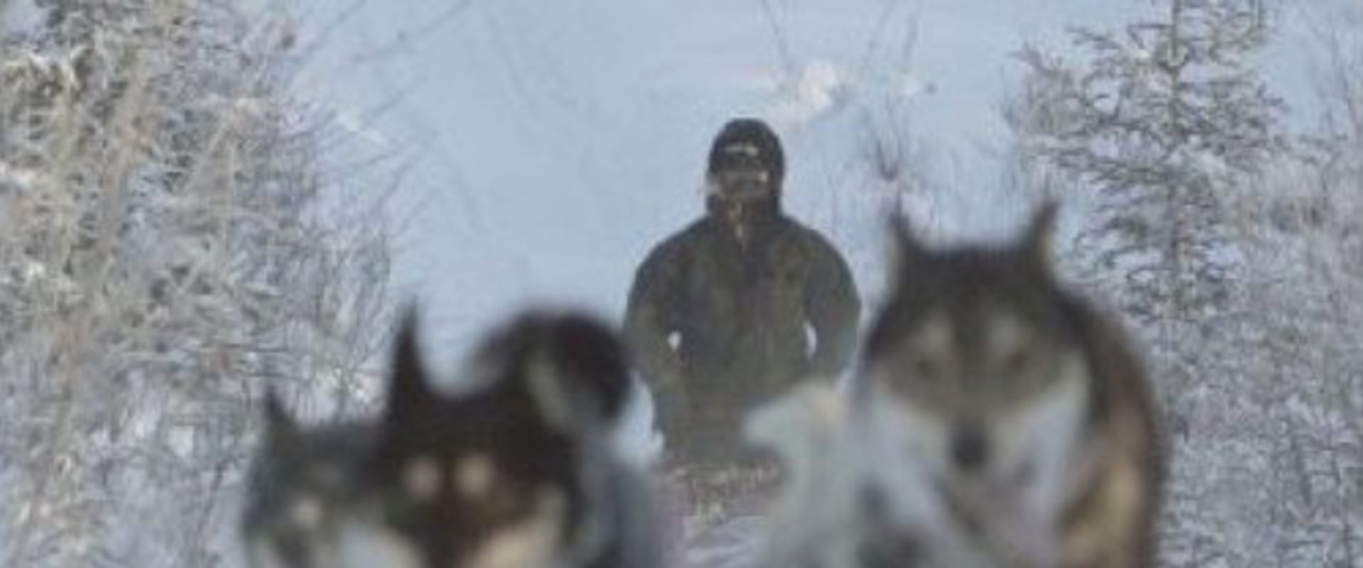 Documentary backdrop image for Snowblind (2009)