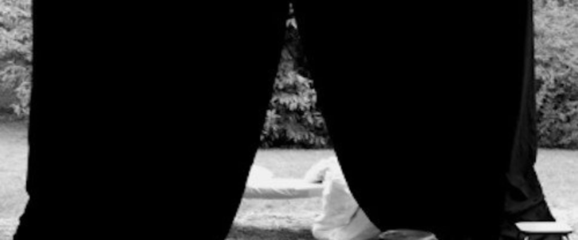 Documentary backdrop image for Singspiel (2009)