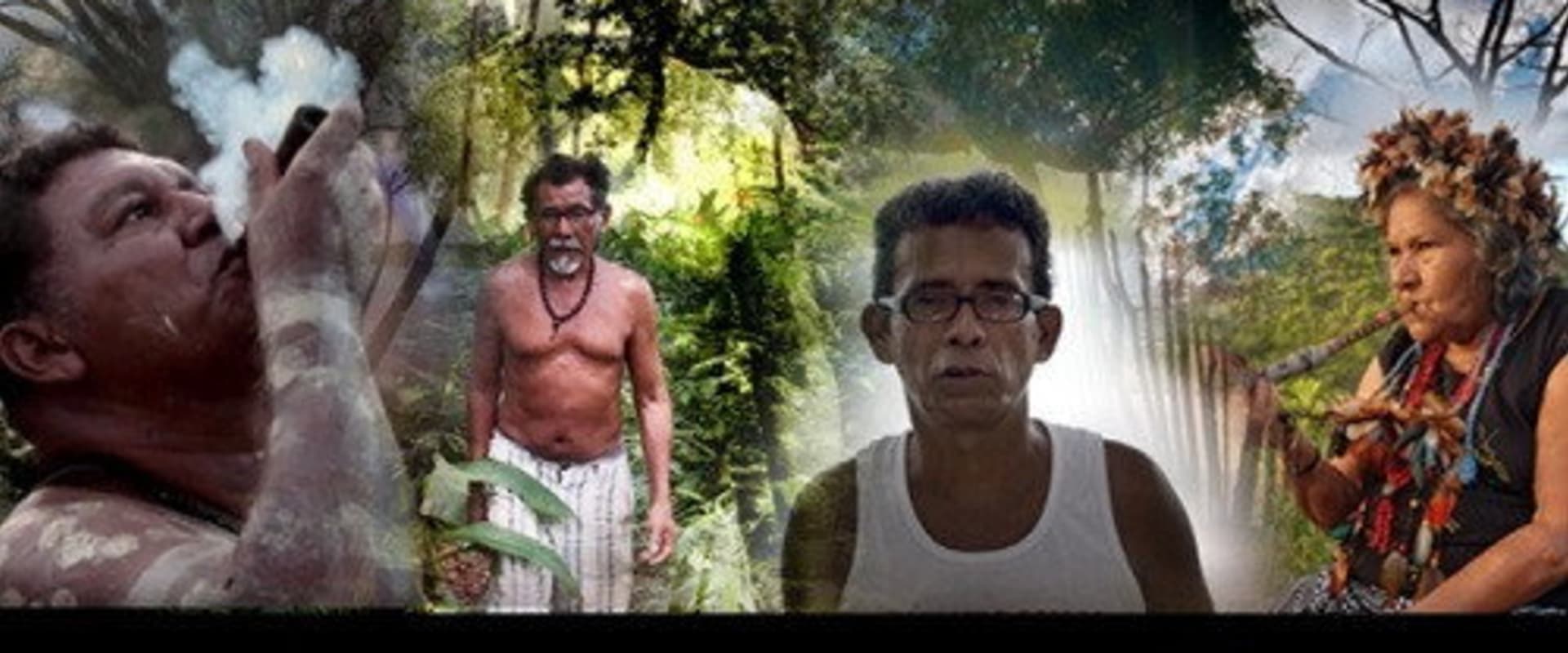 Documentary backdrop image for Messages from the Earth (2020)