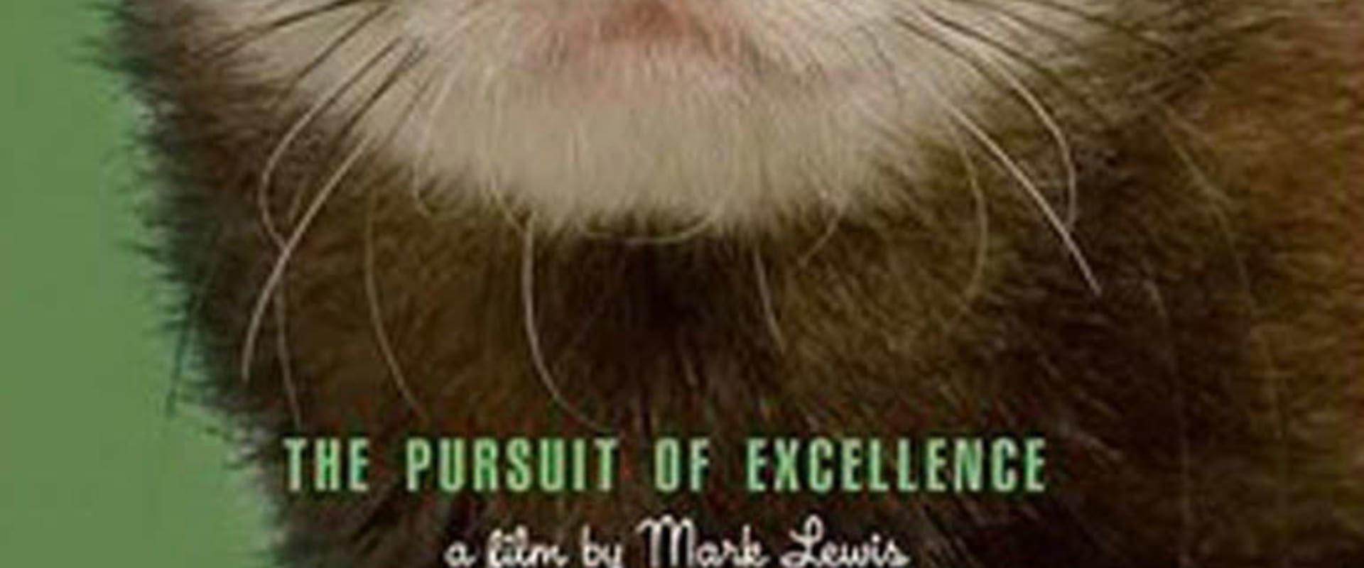Documentary backdrop image for Ferrets (2007)
