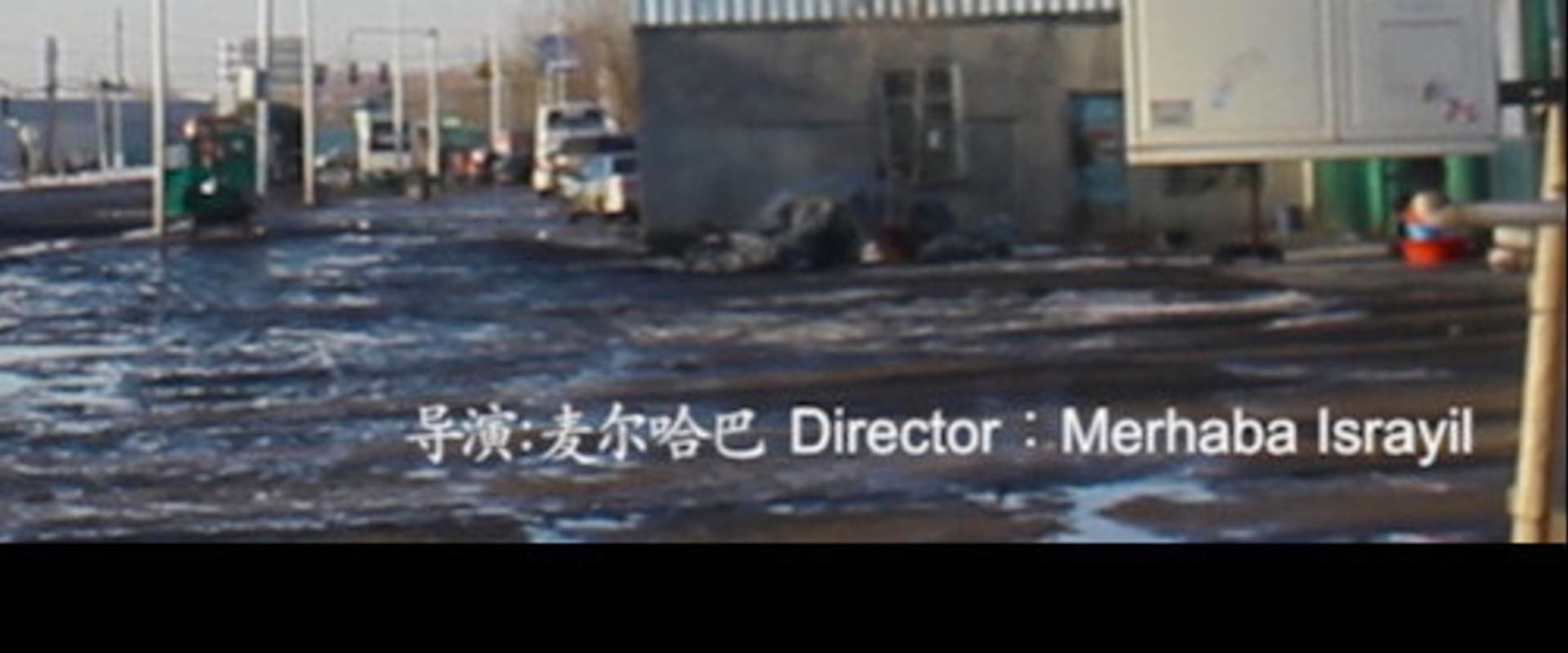 Documentary backdrop image for My Choice (2021)