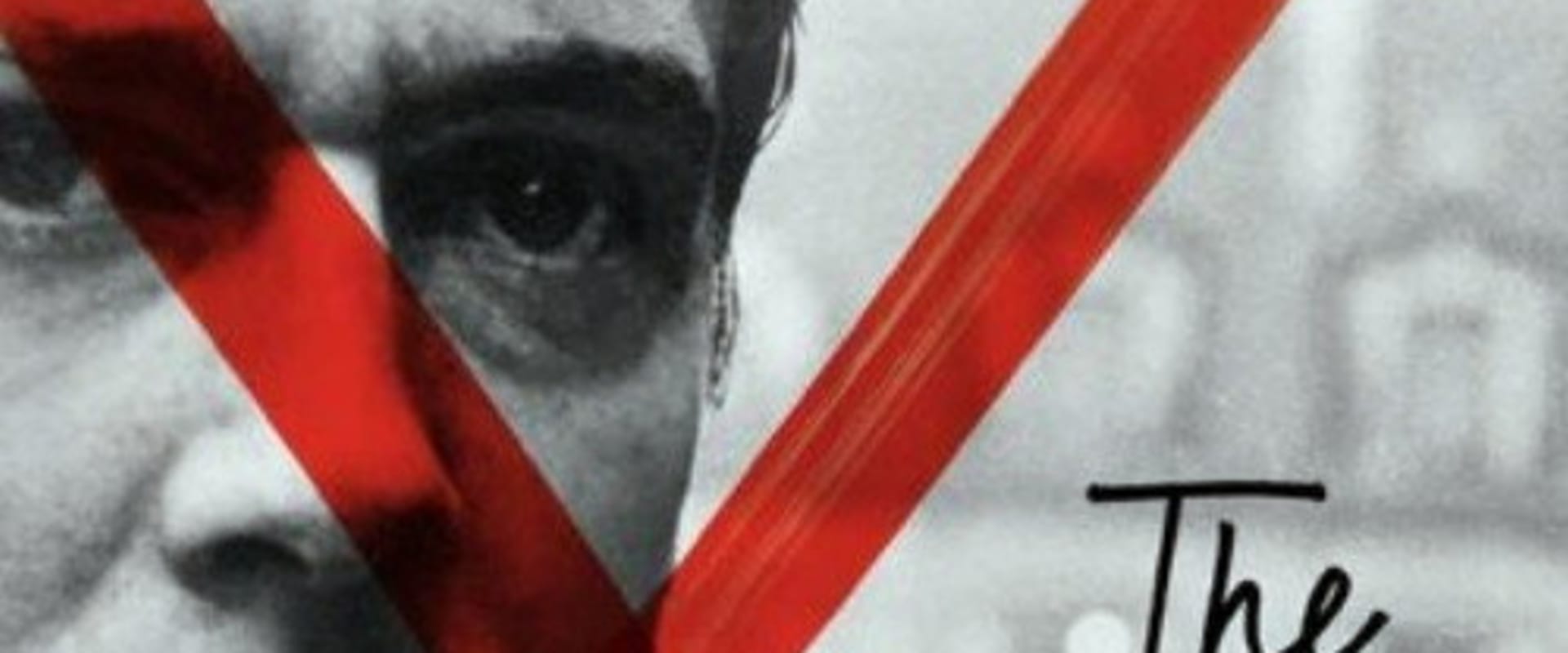 Documentary backdrop image for Malle's Fire Within (2008)