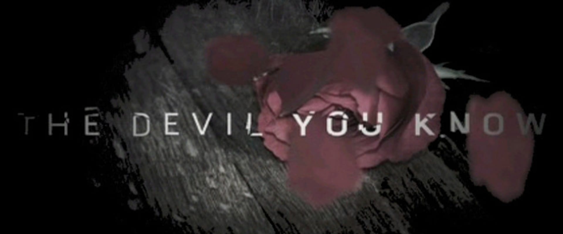 Documentary backdrop image for The Devil You Know (2010)