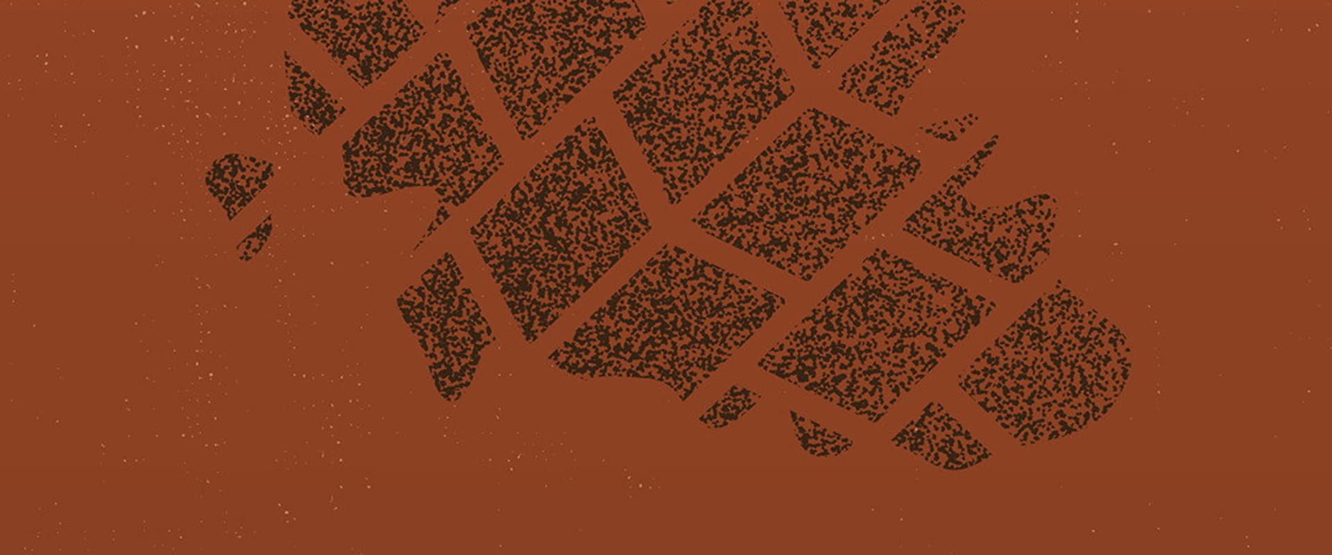 Documentary backdrop image for BIRTHMARK (2019)