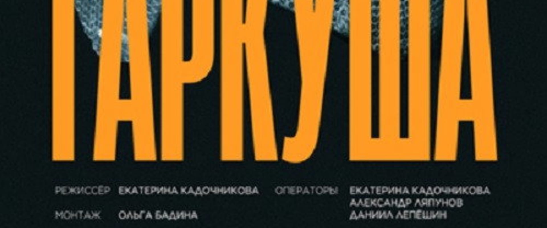 Documentary backdrop image for Гаркуша (2026)