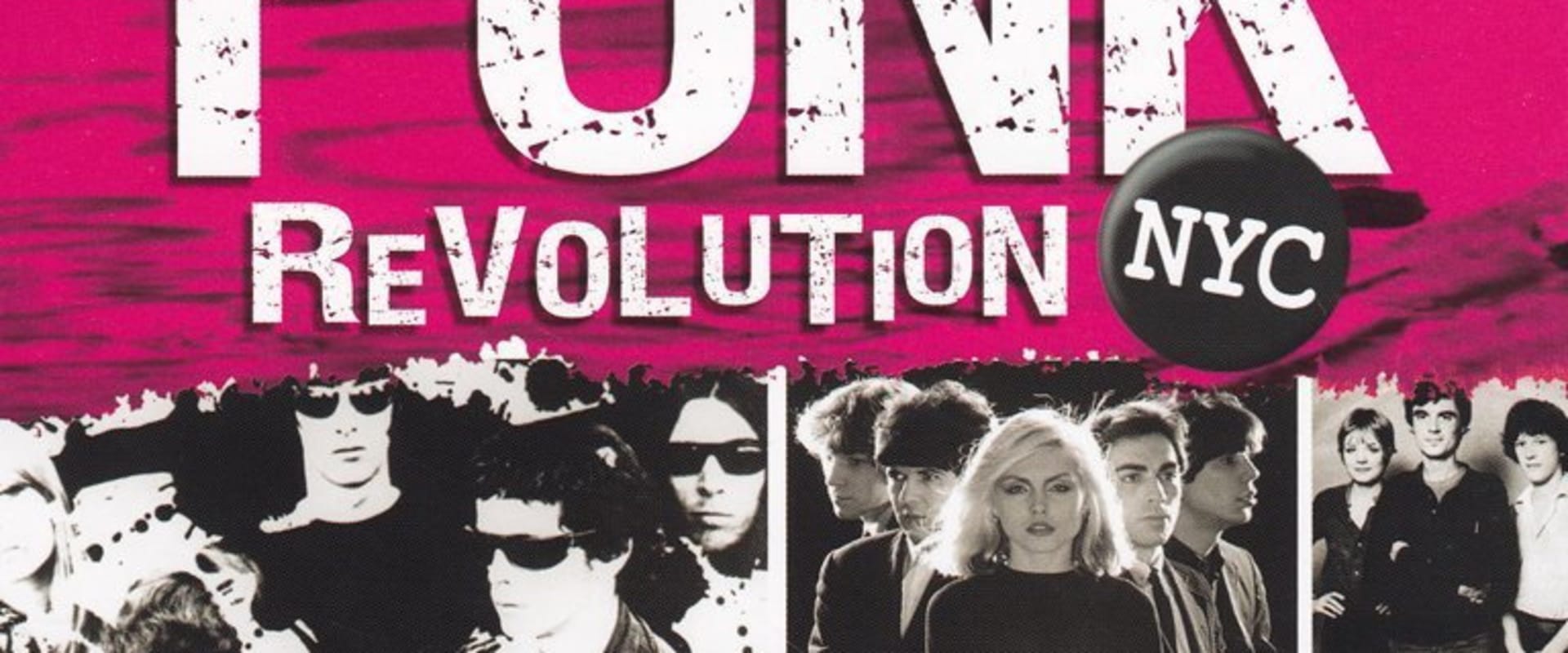 Documentary backdrop image for Punk Revolution NYC (2012)