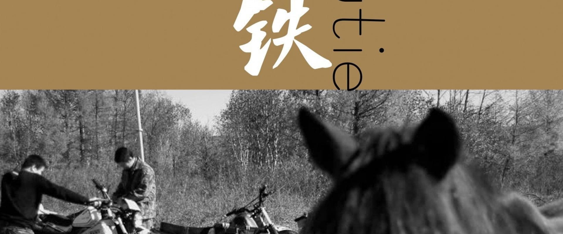 Documentary backdrop image for Lost Mountain (2013)
