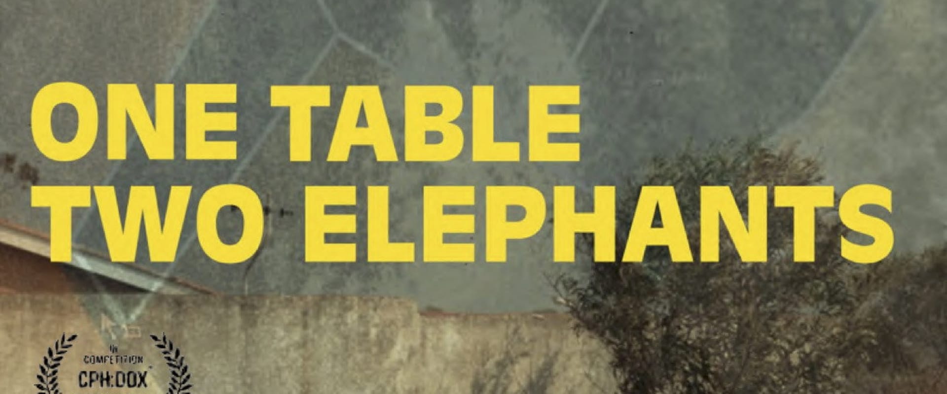 Documentary backdrop image for One Table Two Elephants (2018)