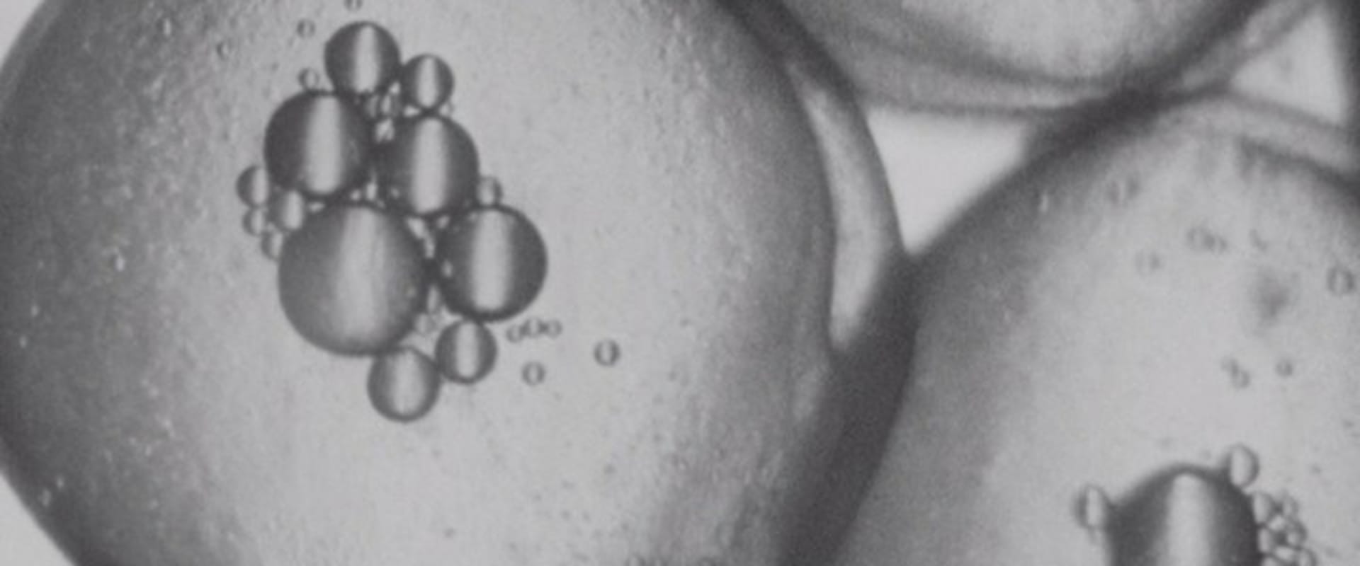 Documentary backdrop image for The Stickleback's Eggs (1925)