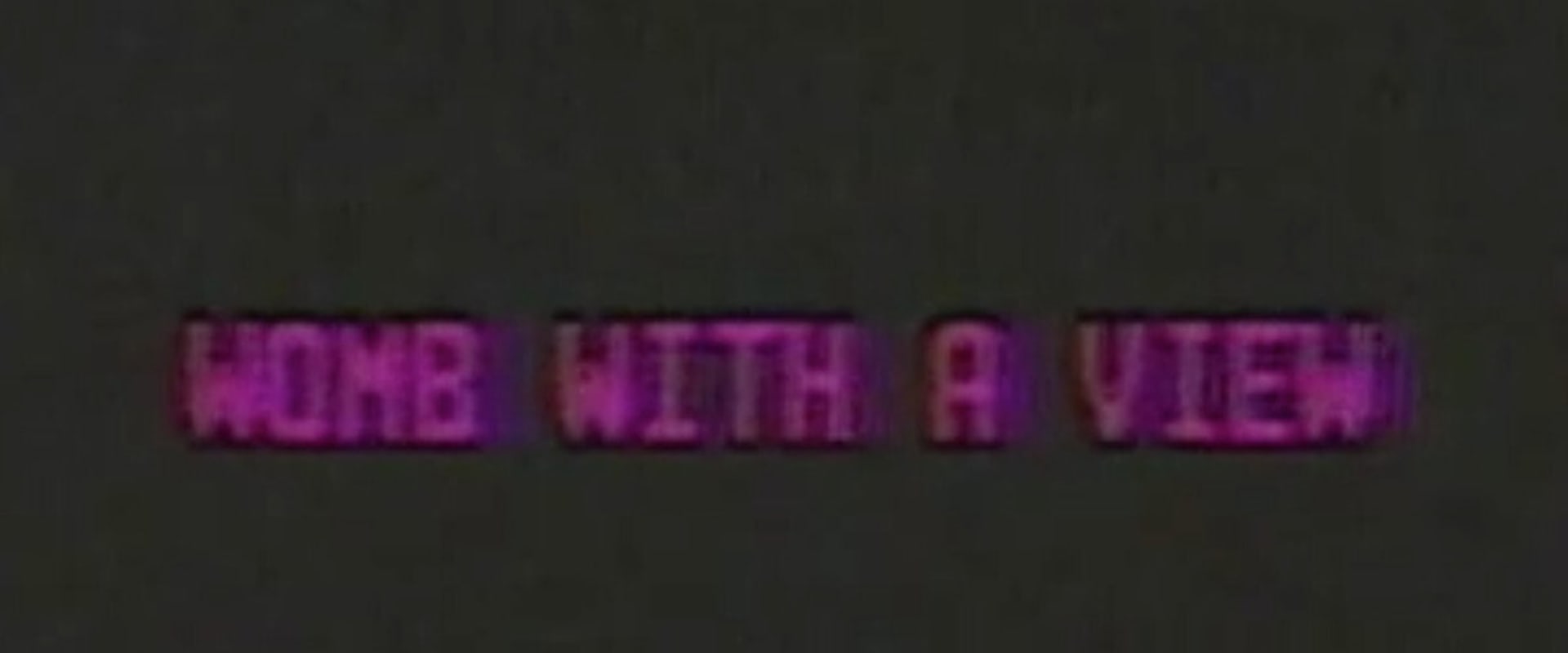 Documentary backdrop image for Womb with a View (1983)