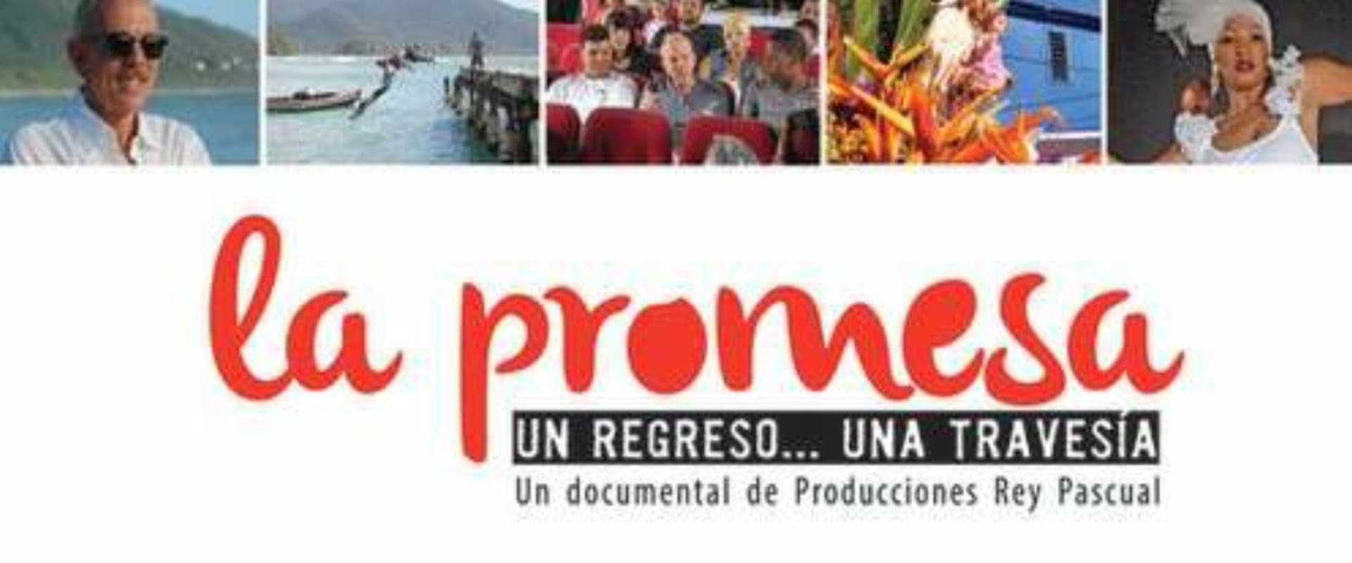 Documentary backdrop image for La promesa (2014)