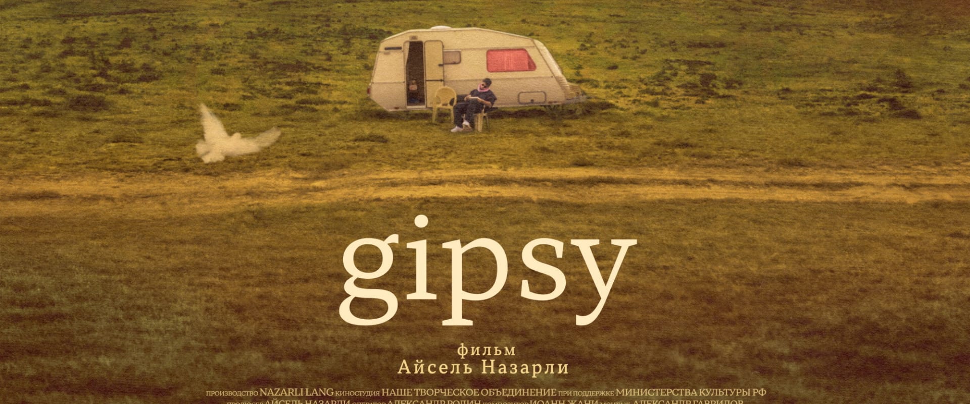 Documentary backdrop image for GIPSY (2024)