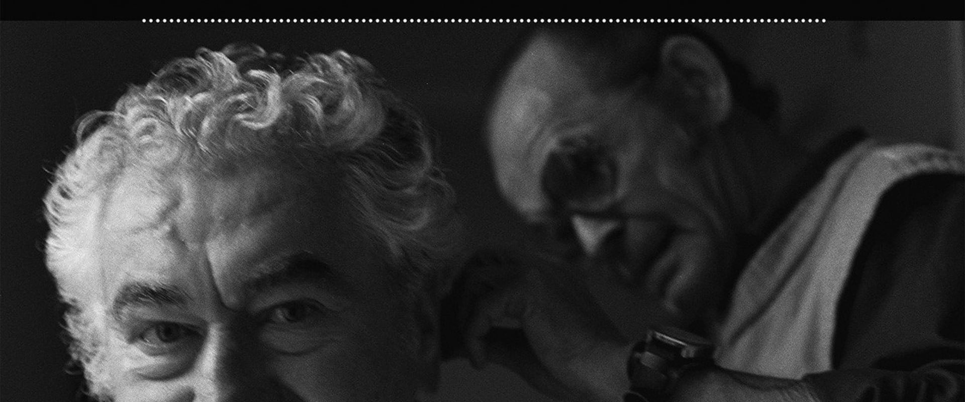 Documentary backdrop image for Anton Srholec (2015)
