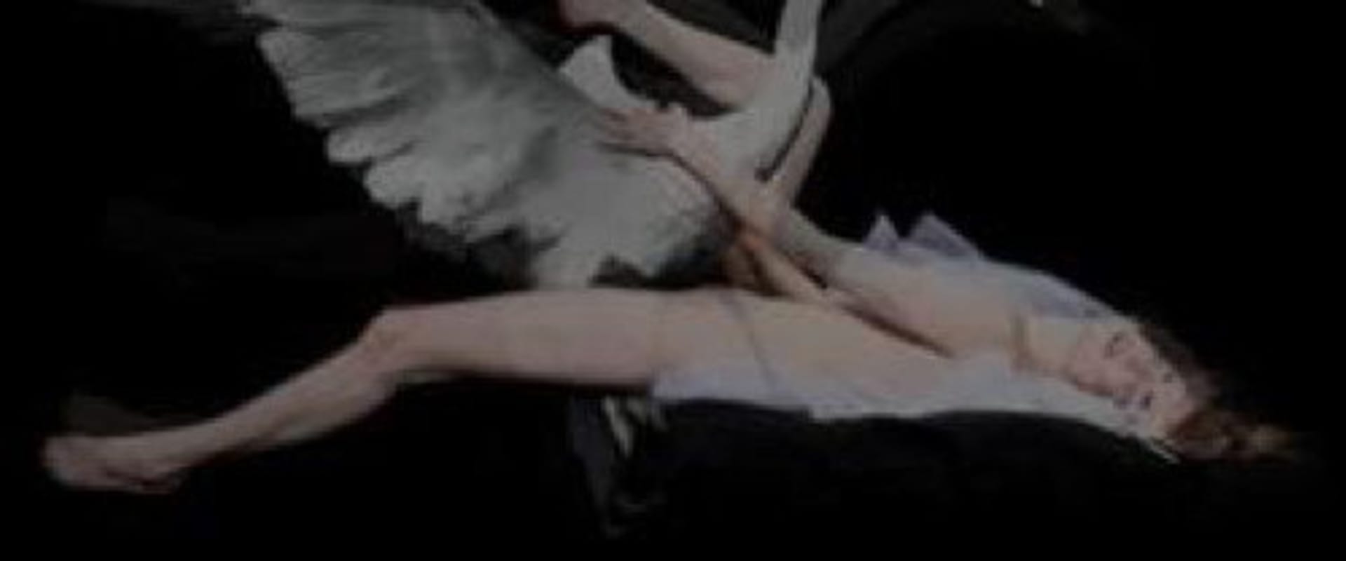 Documentary backdrop image for Animal Passions (2004)