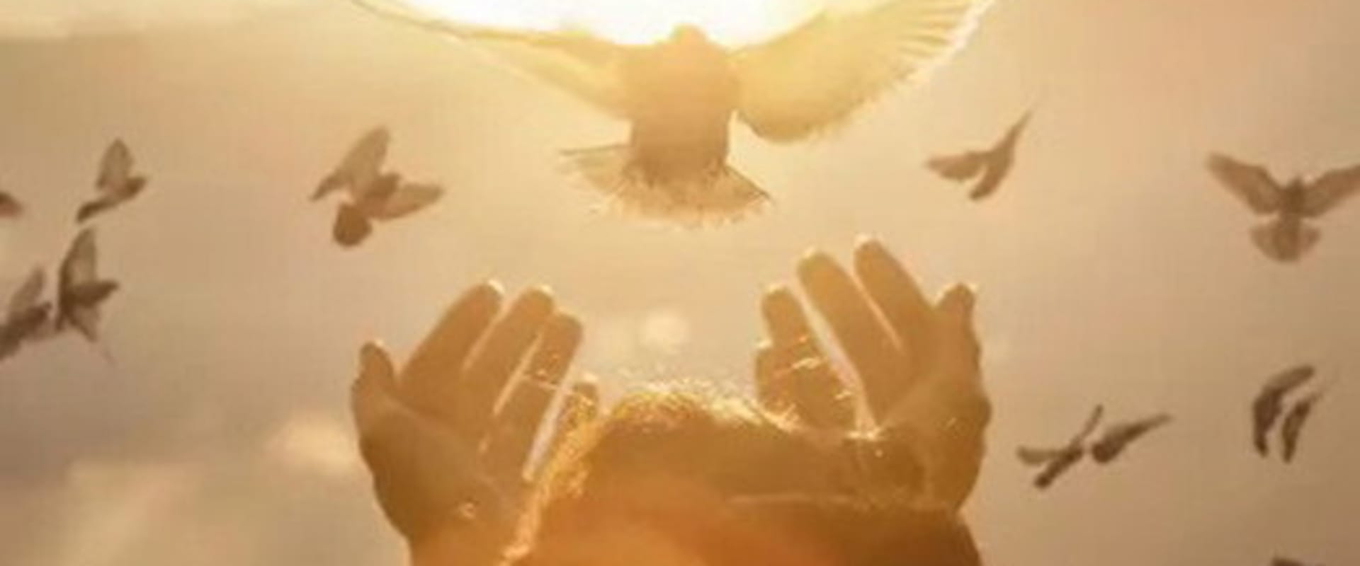Documentary backdrop image for Heaven is Real (1984)