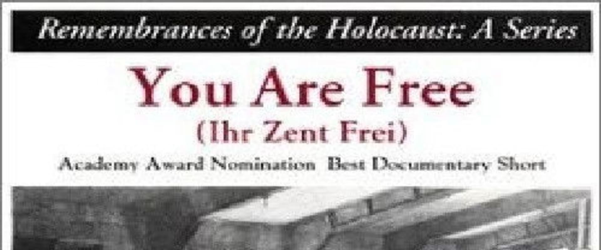 Documentary backdrop image for You Are Free (1983)