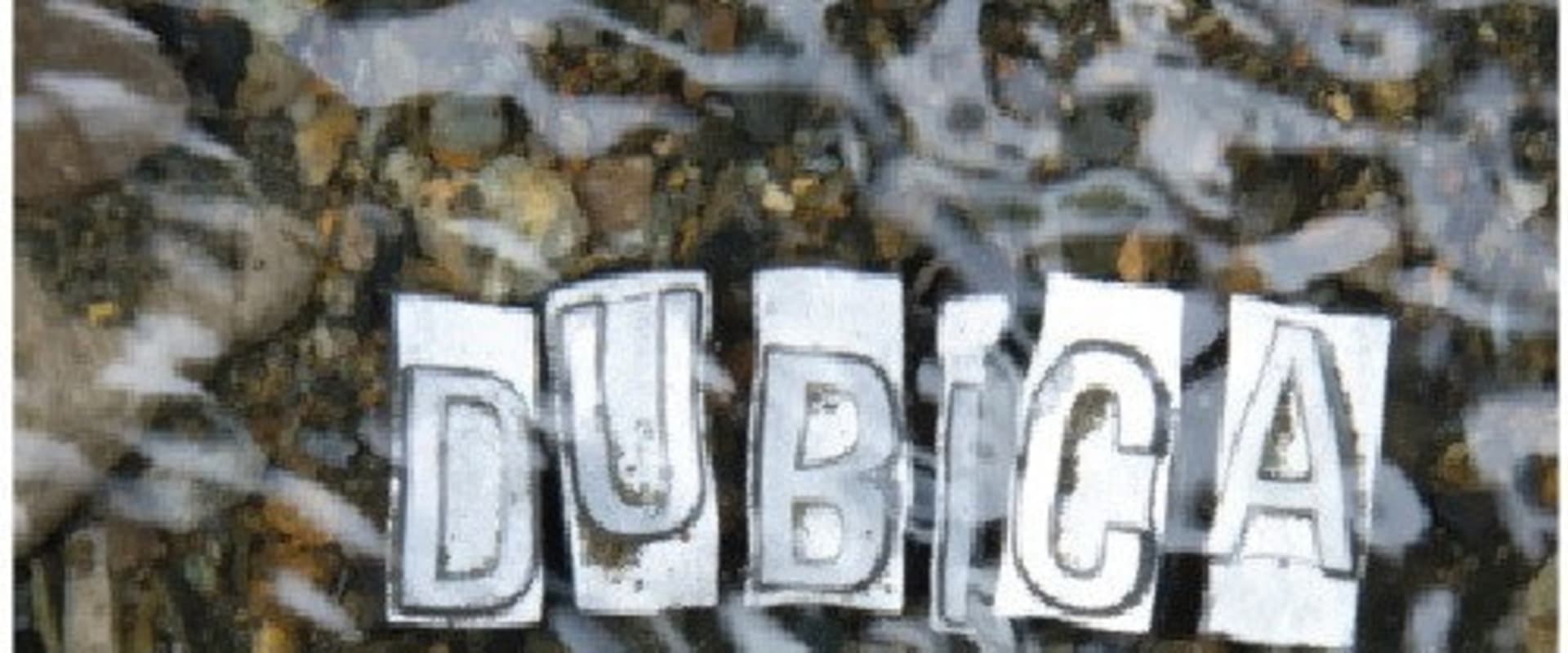 Documentary backdrop image for Dubica (2021)