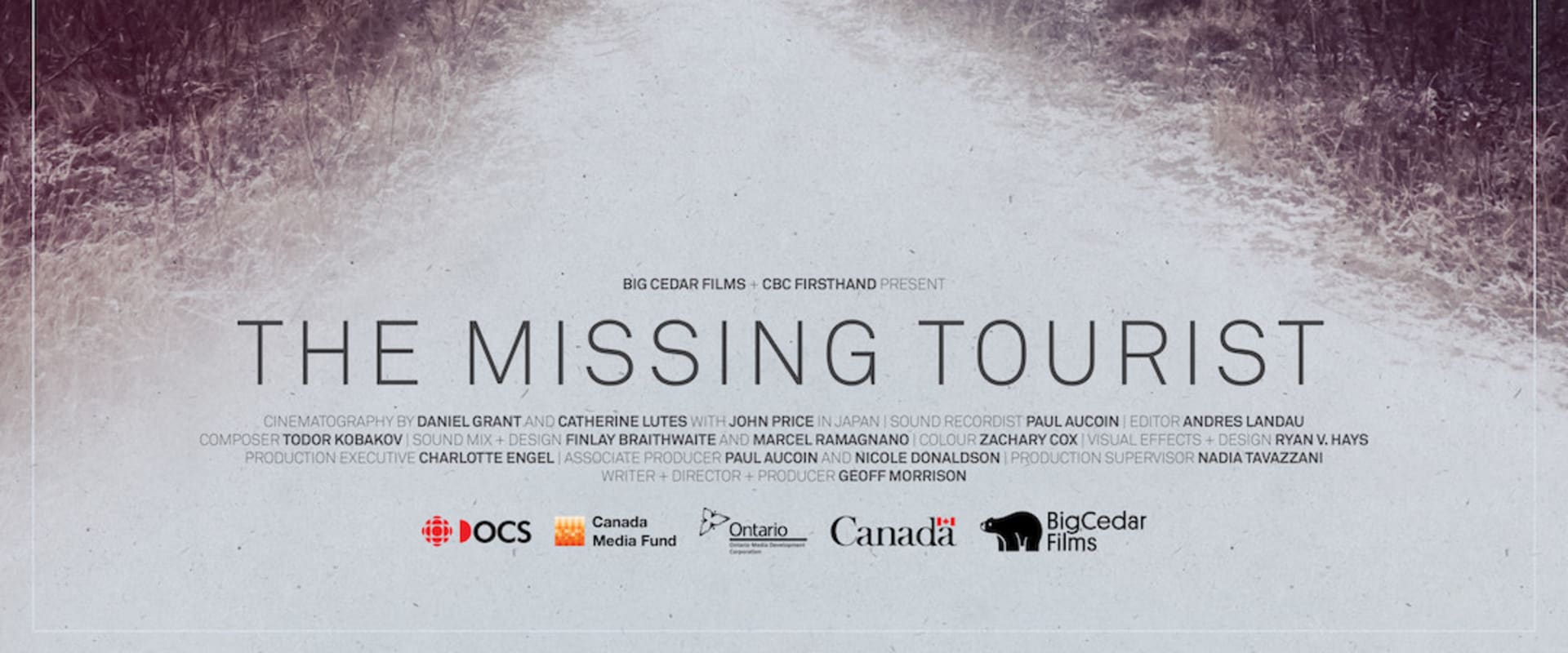 Documentary backdrop image for The Missing Tourist (2018)