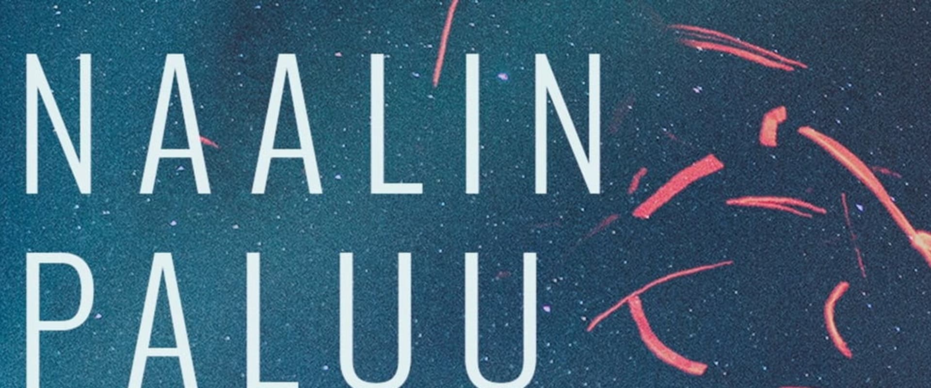 Documentary backdrop image for Naalin paluu (2023)