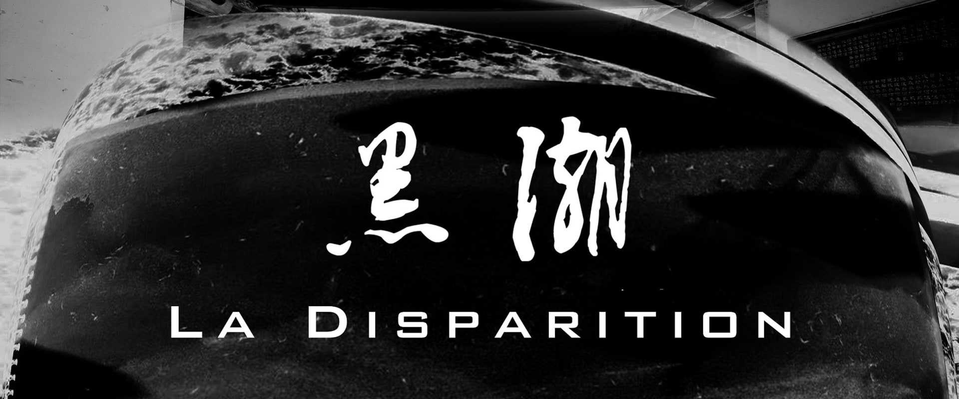 Documentary backdrop image for Disappearance (2019)