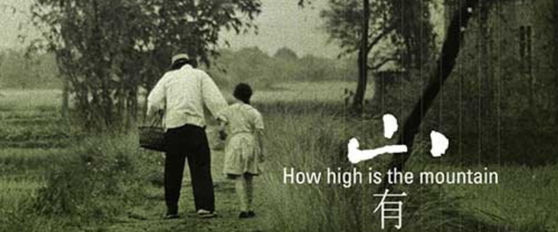 Documentary backdrop image for How High Is The Mountain (2003)