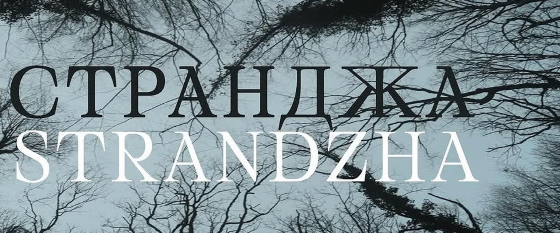Documentary backdrop image for Strandzha (2025)